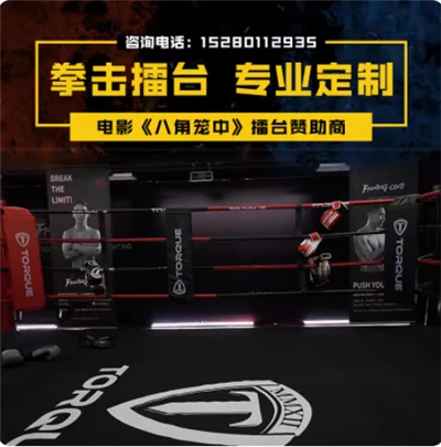 Octagon Pou MMA